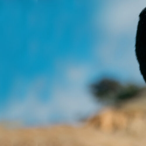 KA_WebsitePDP_TorreyPinesTP_matteblackredsunset-SOCIAL-SLIDER-FOOTER-v1583792855344