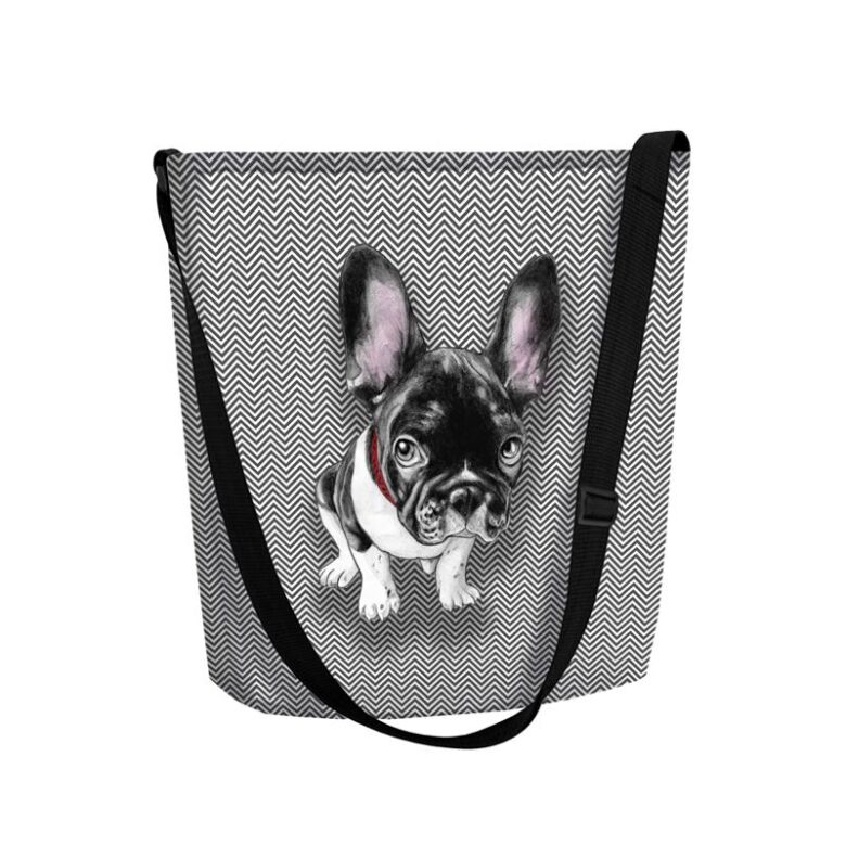 Torba listonoszka Funky Chester