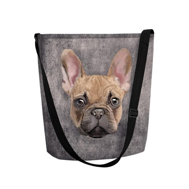 Torba listonoszka Funky Tytus