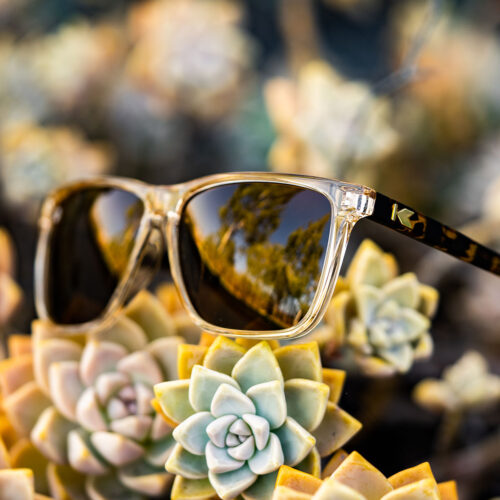 fast-lanes-sunglasses-on-the-rocks