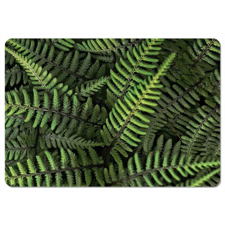 podkladka-na-stol-ferns-29x42