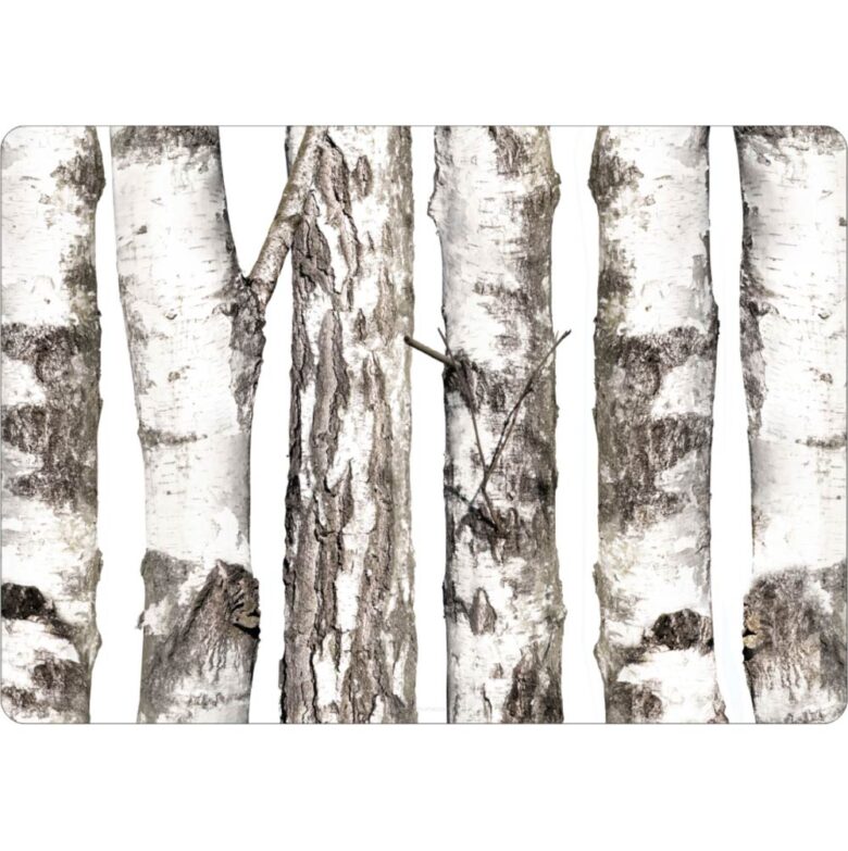 podkladka-na-stol-brzozy-29x42