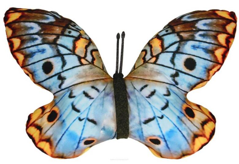 Poduszka motyl Anartia Bertoni